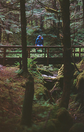 Paris Creek Bridge - Film.