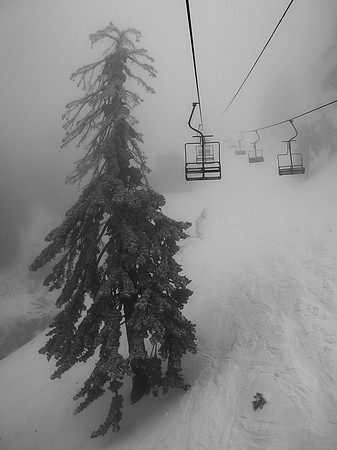 Mt. Baldy CA.